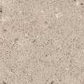 4230shitake_01